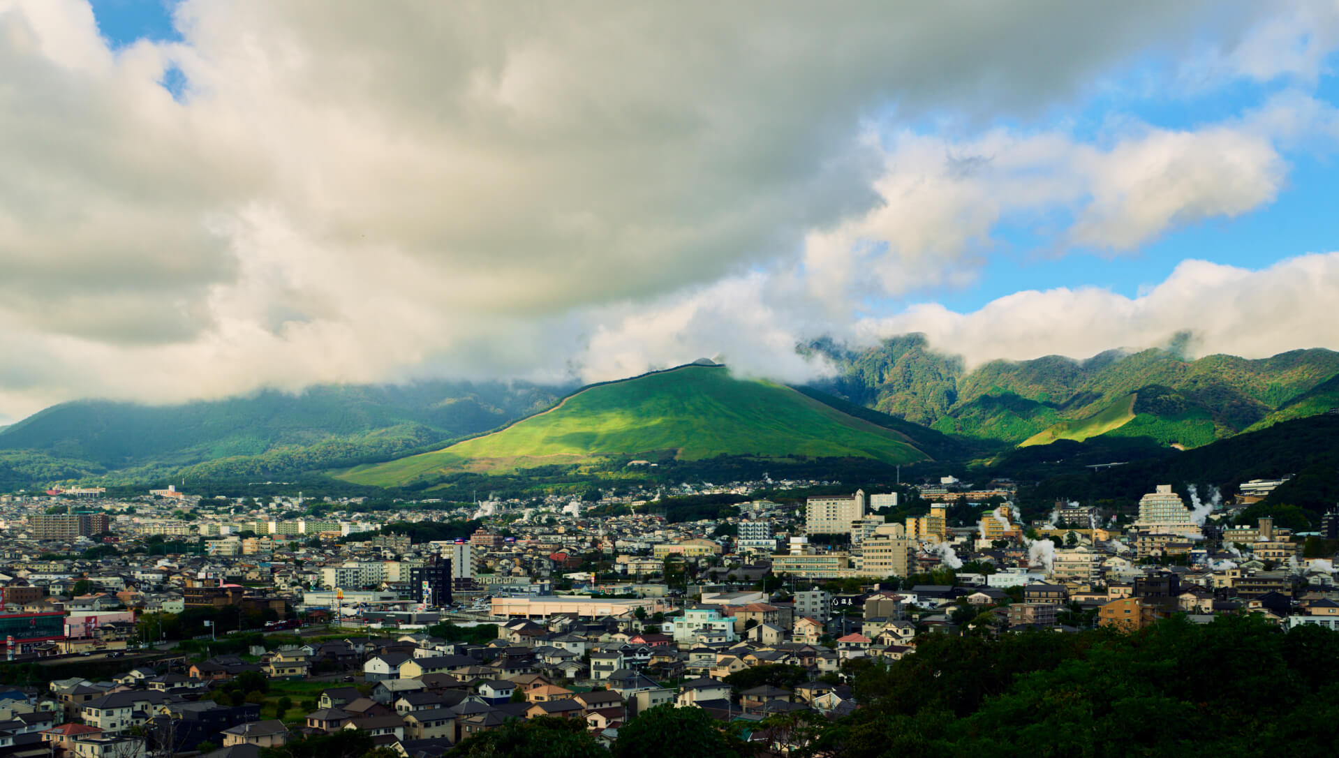 ギャラリー画像