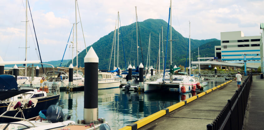 ギャラリー画像